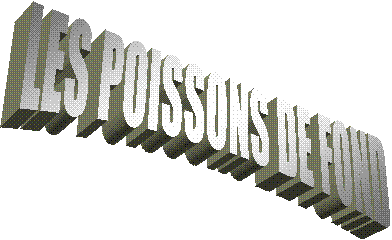 LES POISSONS DE FOND